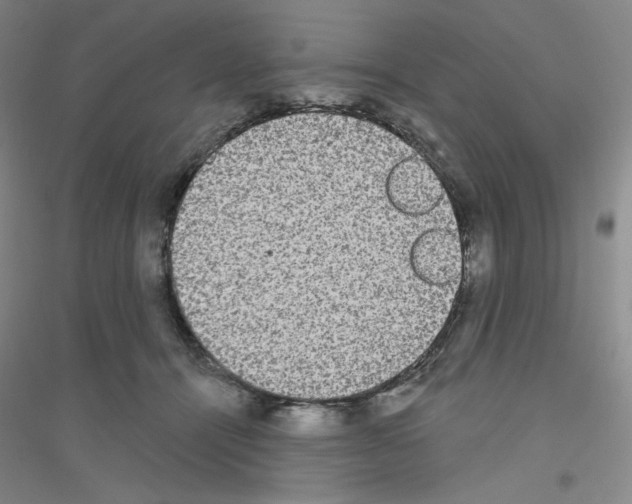 X0000116770464201001281636