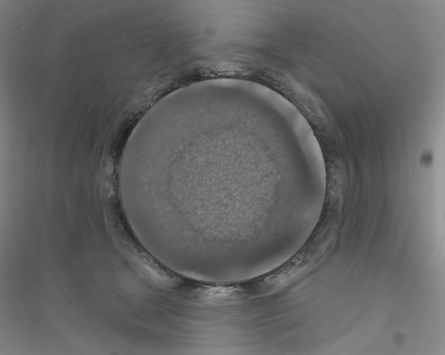 X0000116770465201001281636