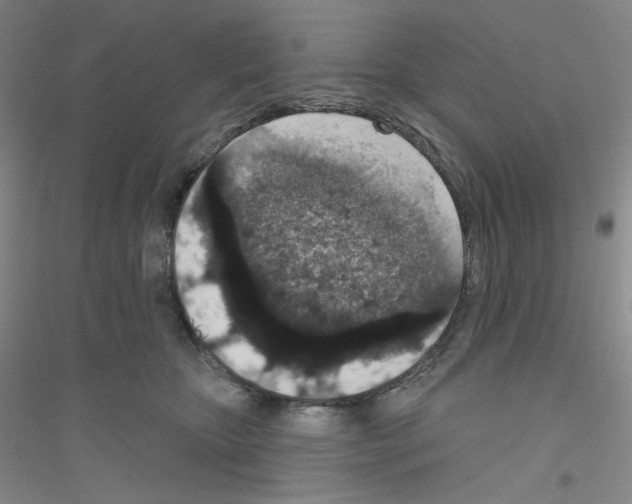X0000116770467201001281636