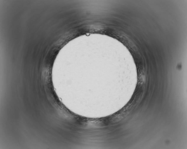 X0000116770468201001281636