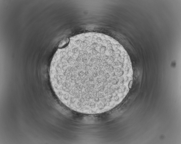 X0000116770470201001281636
