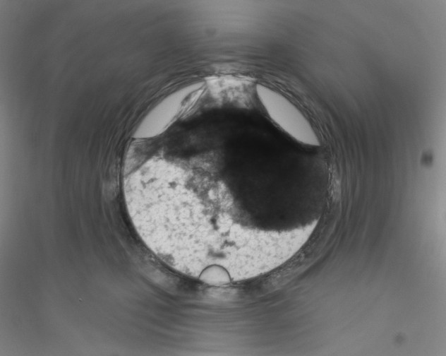 X0000116770471201001281636