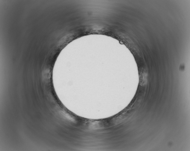 X0000116770472201001281636