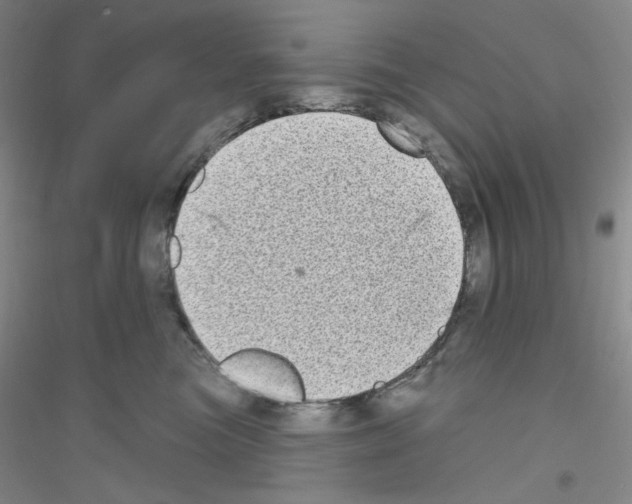 X0000116770473201001281636