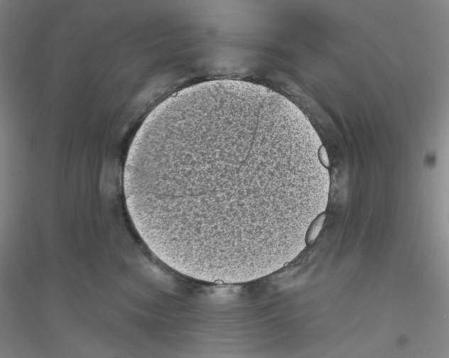 X0000116770474201001281636