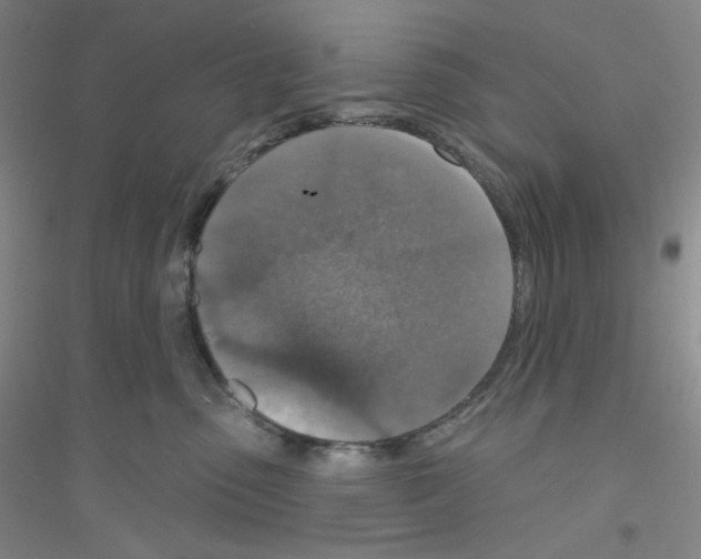 X0000116770475201001281636
