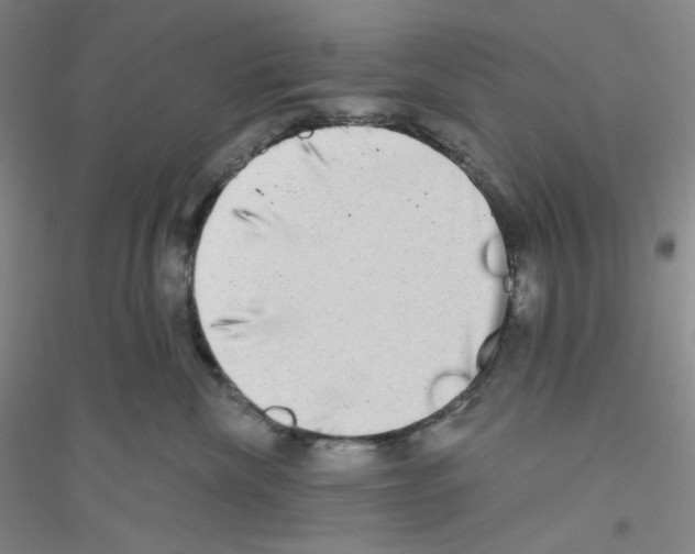 X0000116770476201001281636