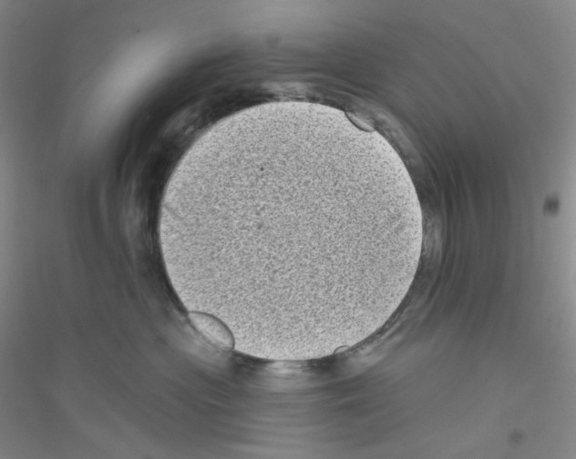 X0000116770477201001281636