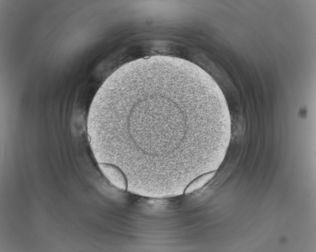 X0000116770478201001281636