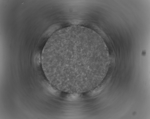 X0000116770479201001281636