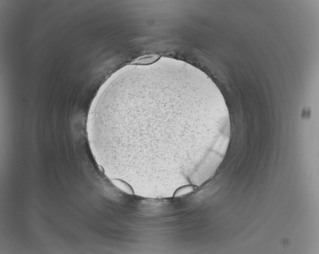 X0000116770480201001281636
