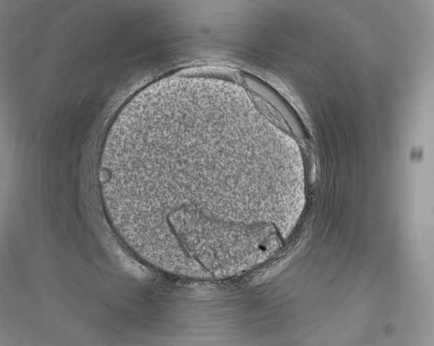 X0000116770481201001281636