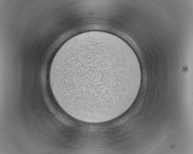 X0000116770482201001281636
