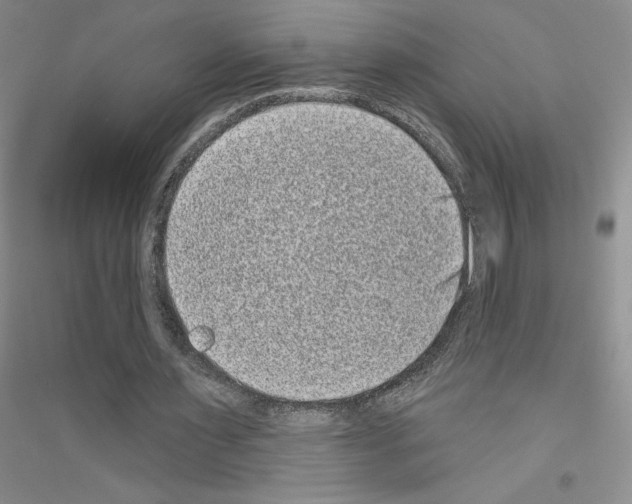X0000116770483201001281636