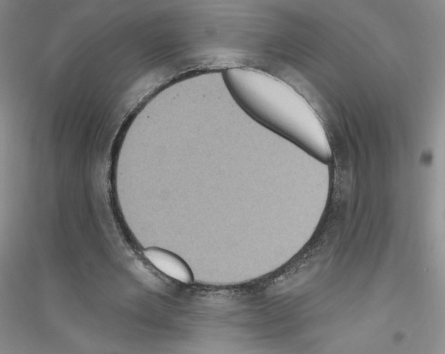 X0000116770485201001281636