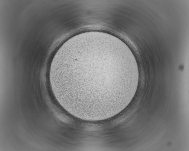X0000116770486201001281636