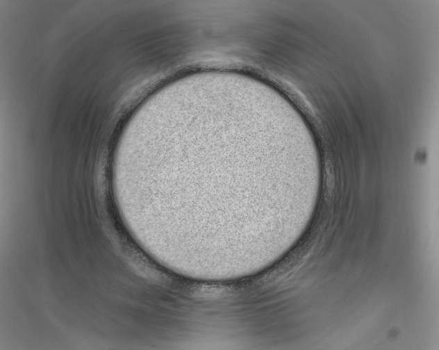 X0000116770487201001281636