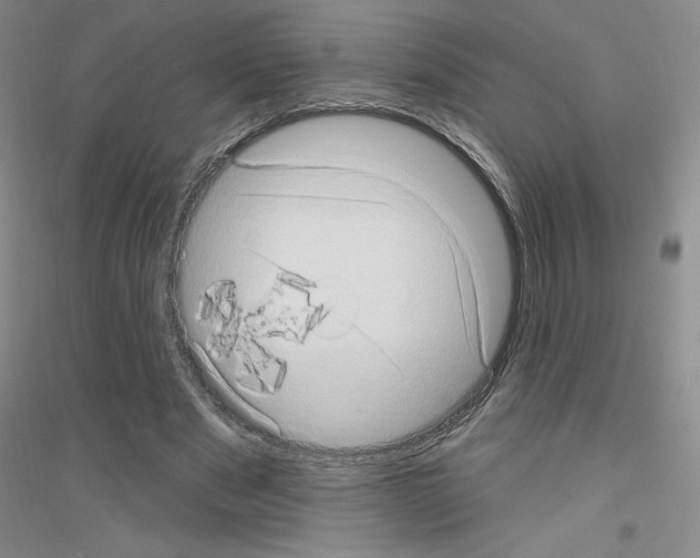 X0000116770489201001281636