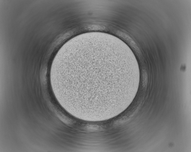 X0000116770490201001281636