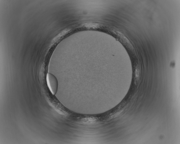 X0000116770492201001281636