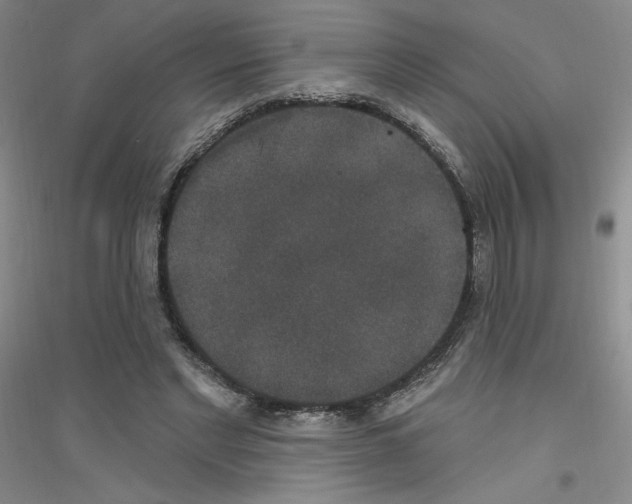 X0000116770493201001281636
