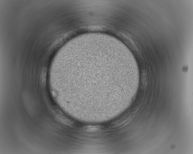 X0000116770495201001281636