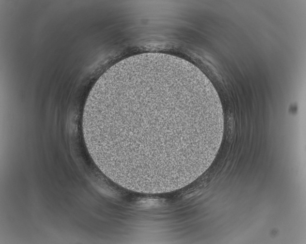 X0000116770499201001281636