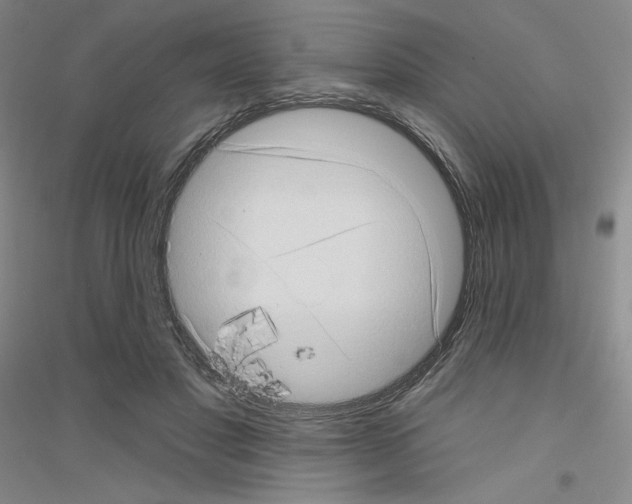 X0000116770501201001281636