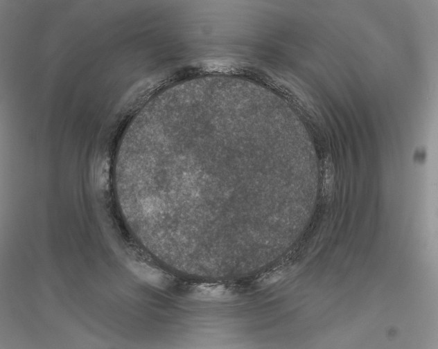 X0000116770502201001281636