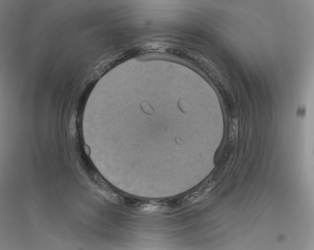 X0000116770504201001281636