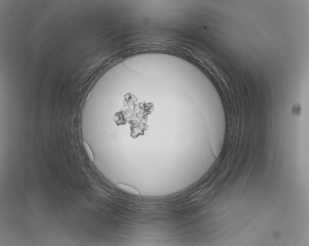 X0000116770505201001281636