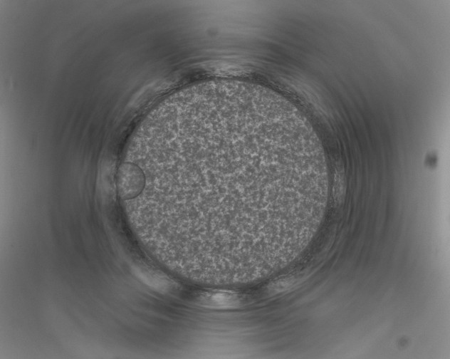 X0000116770506201001281635