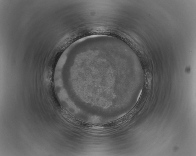 X0000116770507201001281635