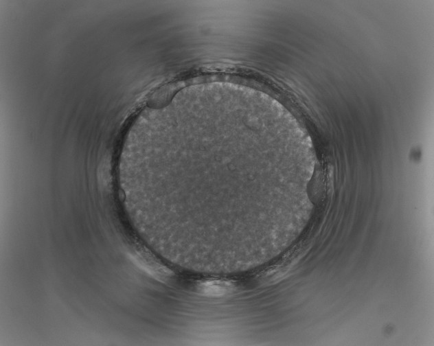 X0000116770508201001281635