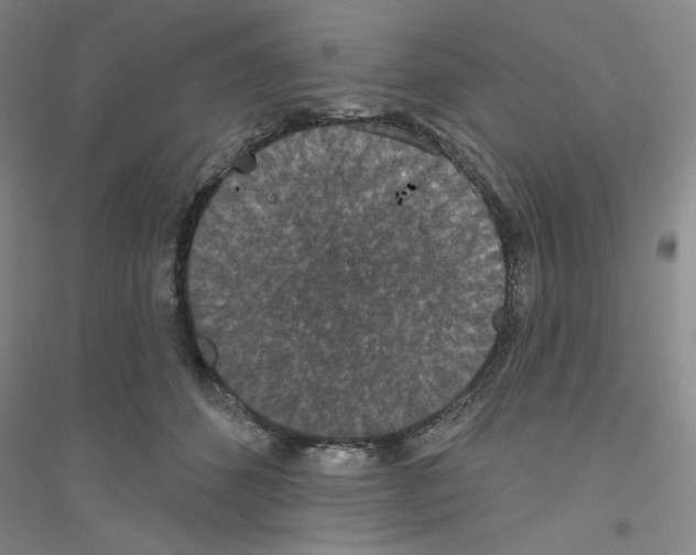 X0000116770512201001281635