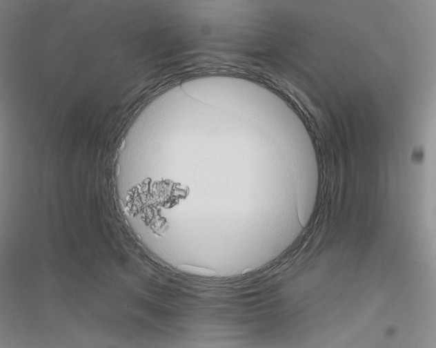 X0000116770513201001281635
