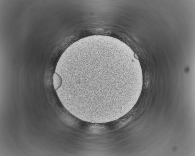 X0000116770515201001281635