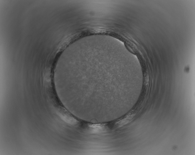 X0000116770516201001281635