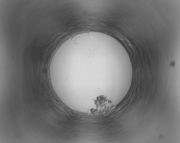 X0000116770517201001281635