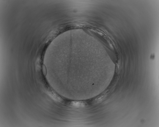 X0000116770520201001281635