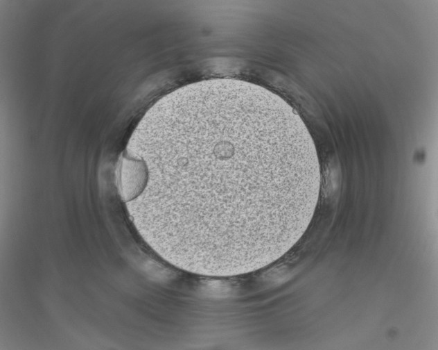 X0000116770522201001281635
