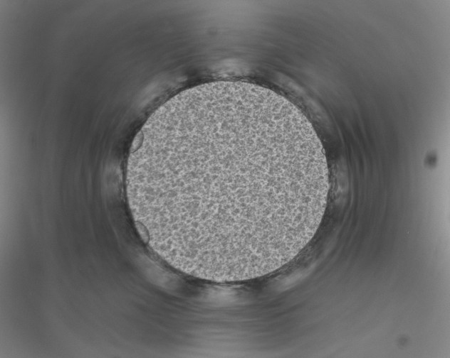 X0000116770523201001281635