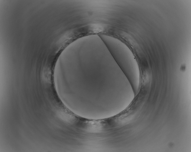 X0000116770524201001281635