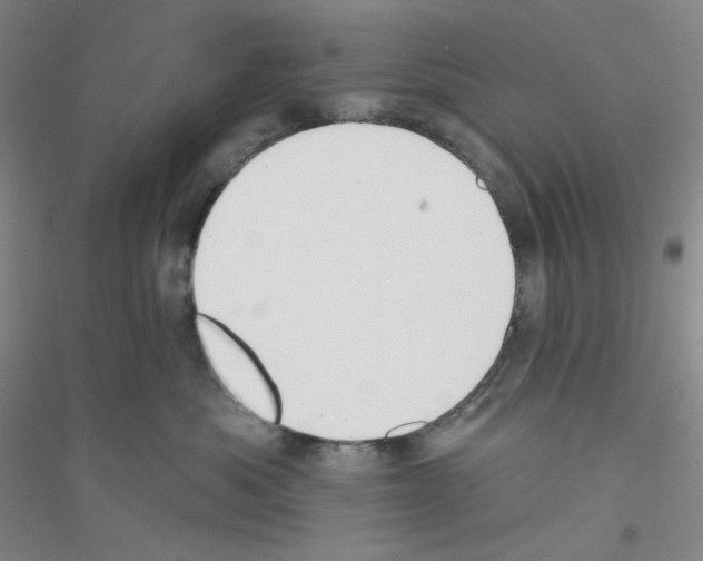 X0000116770525201001281635