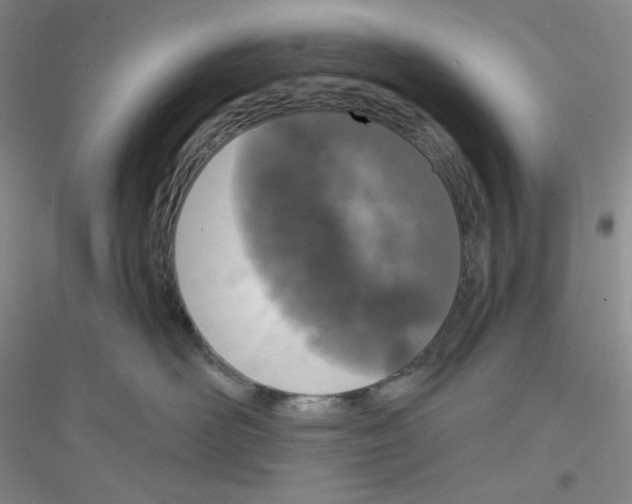 X0000116770526201001281635