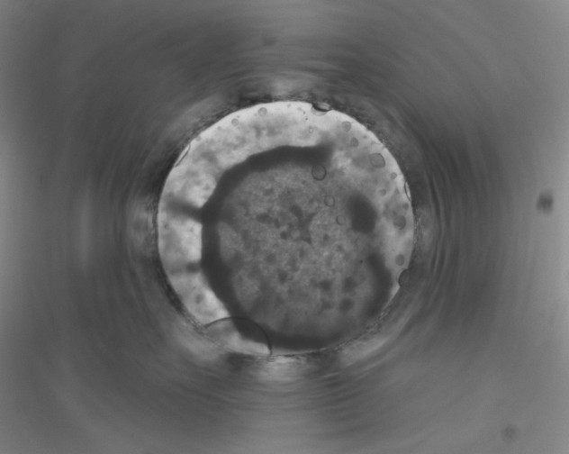 X0000116770527201001281635