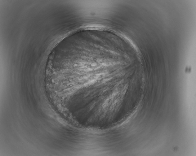 X0000116770529201001281635