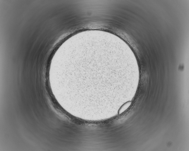 X0000116770530201001281635
