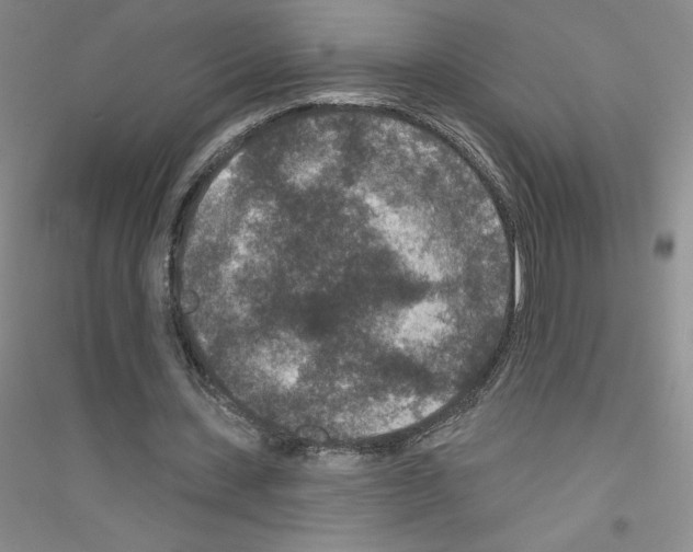 X0000116770531201001281635