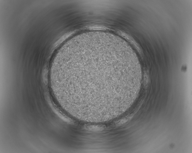 X0000116770533201001281635